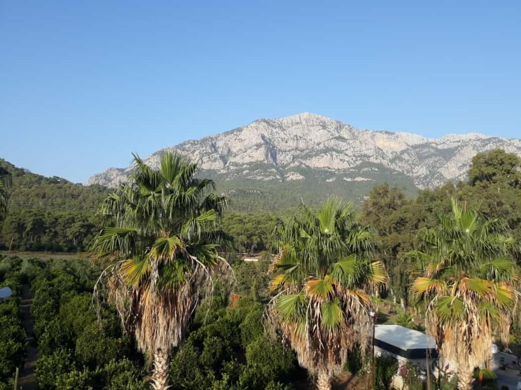 Club Jovia Kemer Hotel Antalya Exterior photo